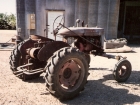 farmall-tractor-1